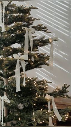 a christmas tree with white ribbon and lights