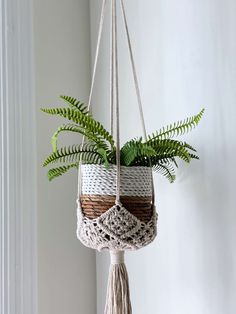 a potted plant hanging from a rope