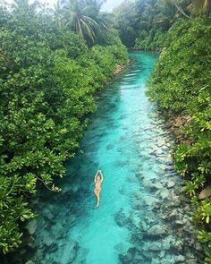 a person swimming in the middle of a river surrounded by lush green trees and bushes