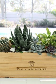 succulents and other plants in a wooden box