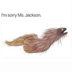 an image of a bird with long hair on it's back and the caption says, i'm sorry ms jackson