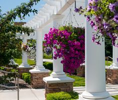 purple and white flowers are growing on the pillars