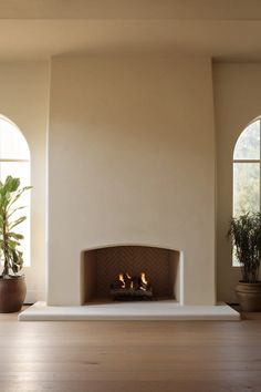 a living room with a fire place and two potted plants