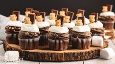 cupcakes with marshmallows and other toppings on a wooden board