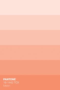 an orange and pink background with the words pantone