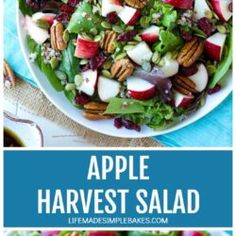 an apple harvest salad with pecans, apples and cranberries in it on a white plate