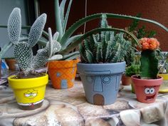 several potted plants are sitting on a table with rocks and flowers in the background