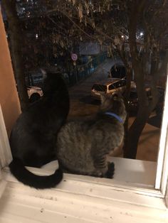 two cats sitting on a window sill looking out at the street