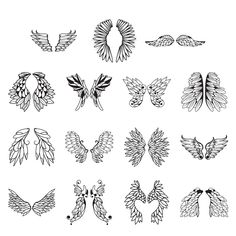 the different types of wings that can be used for tattoos or other things to draw