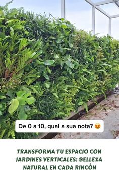 Los jardines verticales, como el que se muestra en la imagen, son una innovadora forma de incorporar la naturaleza en espacios urbanos. Compuestos por una variedad de plantas dispuestas en un sistema vertical, estos jardines no solo embellecen las fachadas, sino que también mejoran la calidad del aire y proporcionan aislamiento térmico. La diversidad de colores y texturas de las plantas crea un efecto visual impactante, convirtiendo cualquier pared en una obra de arte natural. Además, los jardin Belleza Natural