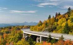 a scenic view of a highway surrounded by colorful trees