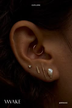 a close up of a person with ear piercings on their left and right ears