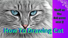 a cat with blue eyes and the words how to drawing cat