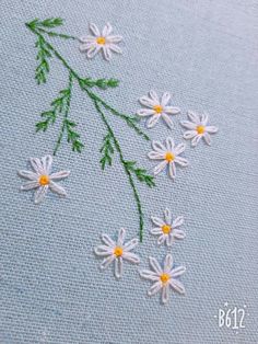 some white daisies are on a light blue surface with green stems and yellow centers