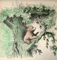 an illustration of a bear in a tree