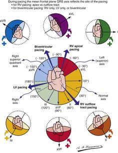 a diagram showing different types of hand signals