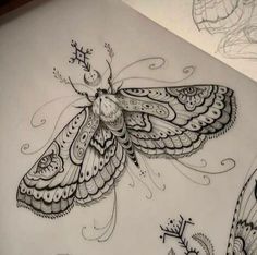 a drawing of a butterfly with intricate designs on it's wings and back legs