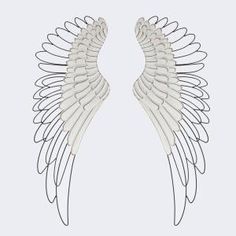 two white angel wings on a gray background