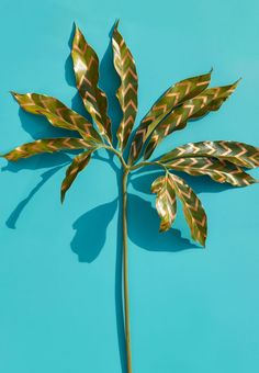 a close up of a plant on a blue background with green and gold leaves in the foreground