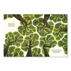 an image of trees with green leaves and the words, we people are all here