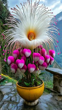 a potted plant with pink and white flowers in front of a mountain range,