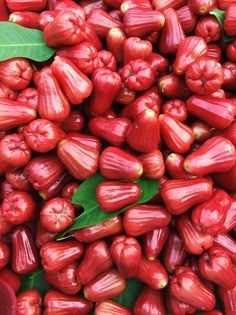 red fruit with green leaves on the top and bottom, all in shades of red