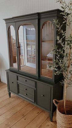 an olive tree in a wicker basket next to a green china cabinet with glass doors