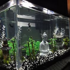 an aquarium filled with plants and buddha statues