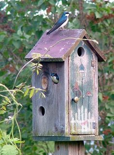 a bird is sitting on top of a wooden bird house