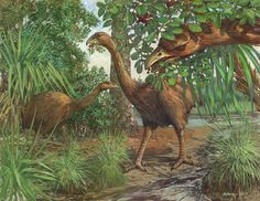 an artist's rendering of two birds in a swampy area with trees and plants