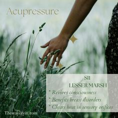 Apply pressure to these acupressure points 2-3 times per day in between your acupuncture appointments; GB21, CV17, SI1. To apply acupressure, first accurately locate the point, then press into the point to your comfort level. How To Increase Breastmilk, Increase Breastmilk, Medicine Tips, Reflexology Chart, Balance Hormones Naturally