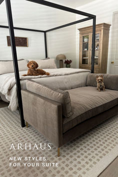 a dog sitting on top of a couch in a bedroom next to a canopy bed