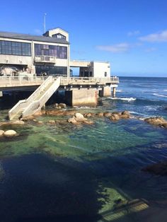 the ocean is clear and blue with green algae