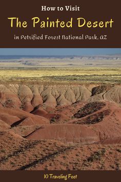 the cover of how to visit the painted desert in petrified forest national park arizona