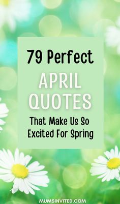 daisies with the words 79 perfect spring quotes that make us so excited for spring