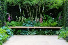 a wooden bench sitting in the middle of a garden filled with lots of green plants