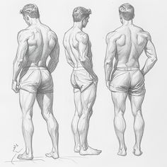 #poses #drawing #draw #pencil Corsets Drawing Reference, Male Drawings Face, Back Of Man Drawing, Male Body Drawing Muscle, Men Anatomy Drawing Body Reference, Male Back Drawing Reference, Male Back Drawing, Man Anatomy Drawing, Male Body Reference Poses