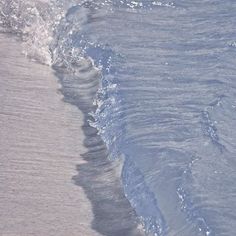 a bird standing in the surf at the beach