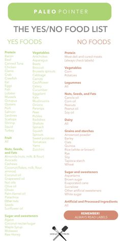 Paleo Diet List Of Foods, Hybrid Foods List, Paleo Carbs List, Paleo List Of Foods, Paleo Foods List, Primal Diet Food List, Modified Paleo Diet, Caveman Diet Food List