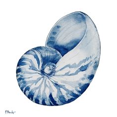 Grenada Shells I - Indigo Poster Print - Paul Brent-VARPDX18812B Image 1 Watercolor Shells Seashells, Blue Room Posters, Painting Cds, Mac Layout, Shell Poster, Dorm Room Posters, Beach Wall Collage, Ocean Poster, Beach Icon