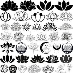 black and white lotus flowers with different shapes, sizes and colors on the petals are drawn in