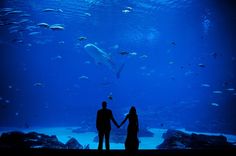 two people holding hands in front of an aquarium