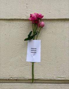 there is a flower that has been placed on the wall with a note attached to it