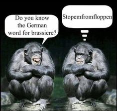 two monkeys sitting next to each other with their arms crossed and one saying most likely, what do you inappropriateate make at your job?