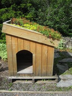 a wooden dog house with plants growing on the roof and side walls, in front of some rocks