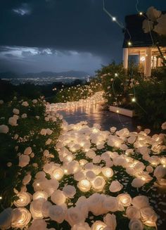 lighted paper flowers in front of a house at night with lights on the ground and overcast sky