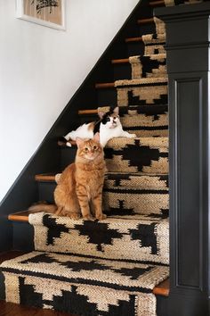 two cats are sitting on the stairs and one is looking at the camera while the other looks up