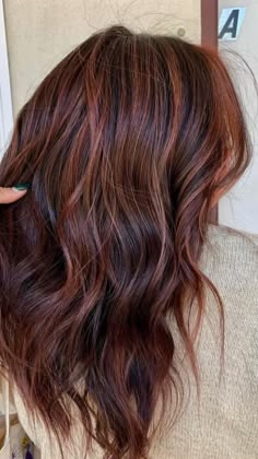 Natural Red Highlights On Dark Hair, Auburn Streaks In Brown Hair, Dark Brunette With Copper Highlights, Dark Strawberry Brunette Hair, Red Brown Lowlights, Dark Brown Hair With Auburn Money Piece, Cooper Highlights On Dark Hair, Brown Red Lowlights, Red Hair Balayage Brown