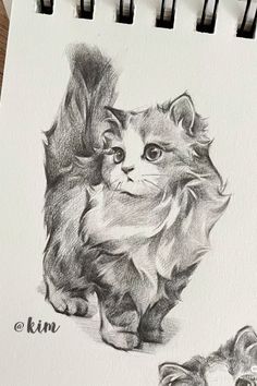 a pencil drawing of a cat and a kitten