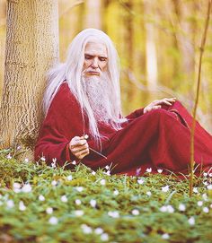 an old man with long white hair sitting in the grass next to a tree and flowers